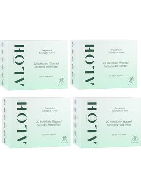 Peppermint Eucalyptus Aloe Hand Sanitizer Wipes - Individually Wrapped, Travel